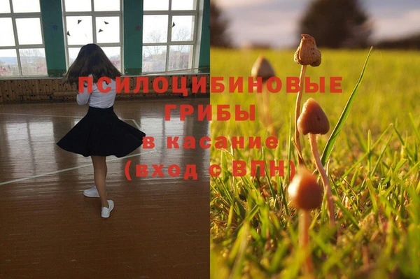 трава Балабаново