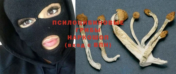 кокс Беломорск