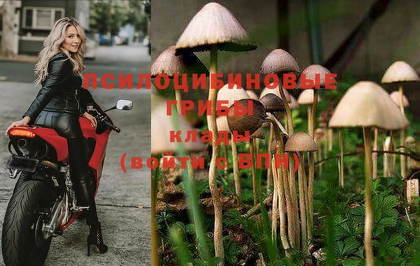 гидра Рославль